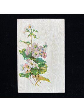 Antique Postcard 1911 Manhattan Kansas Purple Flowers Wood Grain Watermelon
